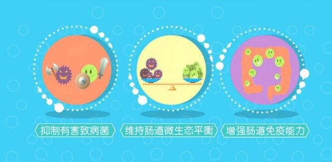 kaiyun官网入口