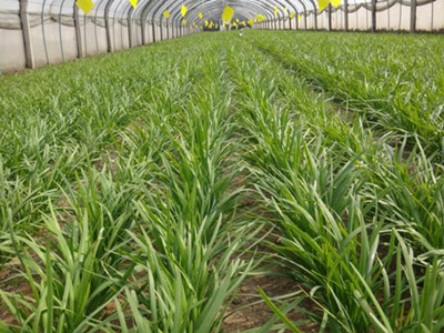 开云kaiyun官方网站