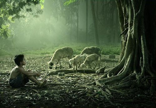 开云kaiyun官方网站