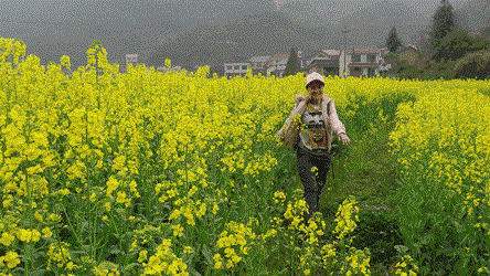 开云kaiyun官方网站