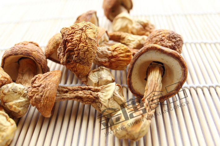 富龙控股王诚:产业均衡发展是城市与小镇运营的关键|Kaiyun官方网站(图4) kaiyun官网入口