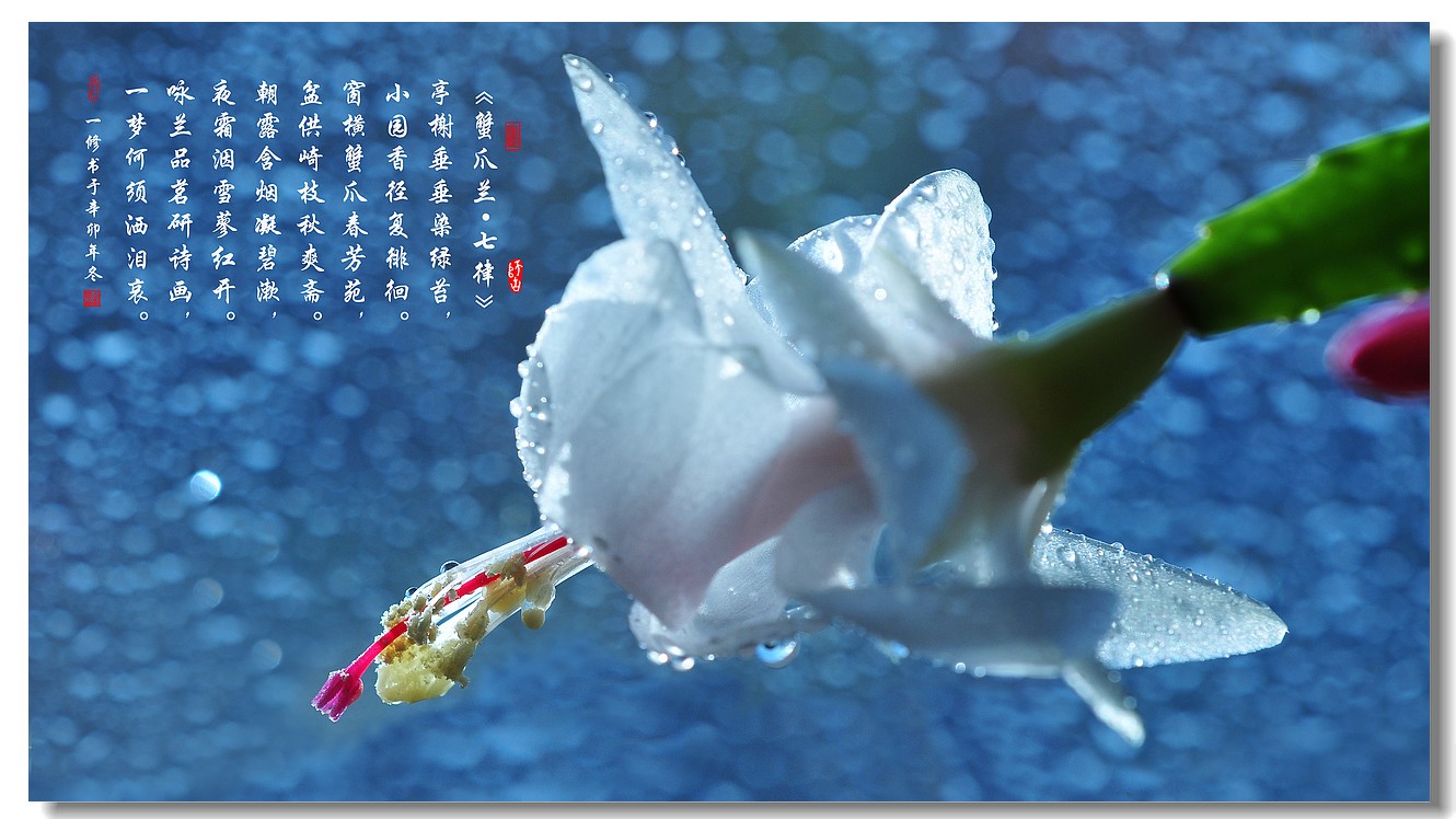 首次为物业管理收费制定实施细则:Kaiyun官方网站(图1) kaiyun官网入口