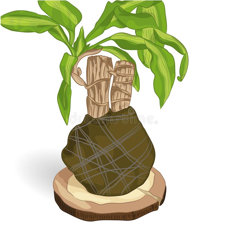 开云kaiyun官方网站