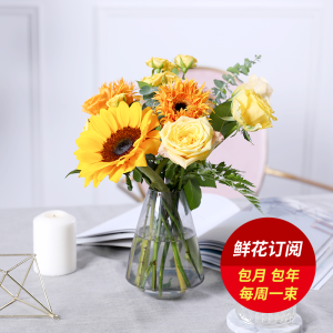 开云kaiyun官方网站