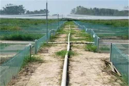 开云kaiyun官方网站