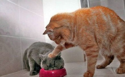 开云kaiyun官方网站